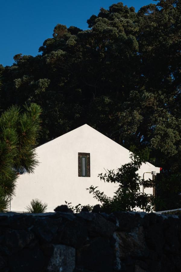 Entre Muros - Turismo Rural - Casa Com Jardim E Acesso Direto Ao Mar Ribeira Grande Extérieur photo
